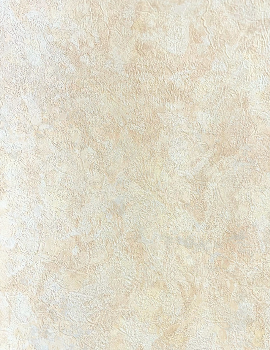 MS170407